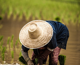 Bangkok Explorer – 4 Nights & 5 Days (Premium)